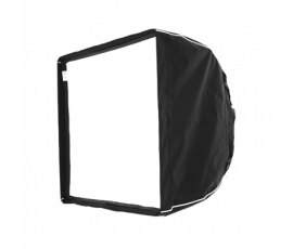 SNAPBAG® Medium für LeoFresnel