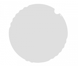 AX5 Flood Filter