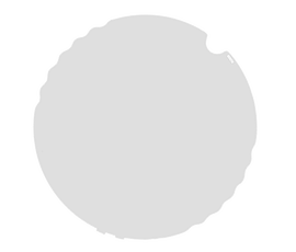 AX5 Flood Filter