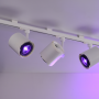 QuickBeam Connect